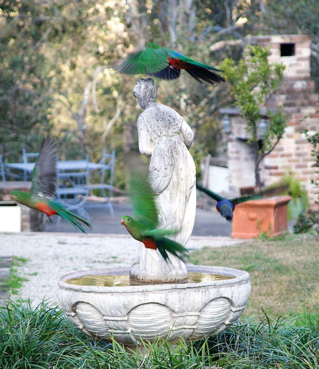 The Willows At Bed & Breakfast Kurrajong